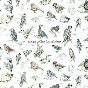 Edwyn Collins: Losing Sleep (Shock)