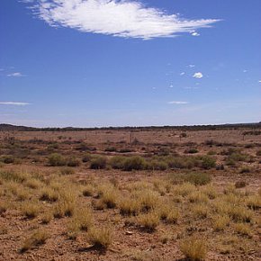 The Australian Outback: Dry land, dry characters, dry throat