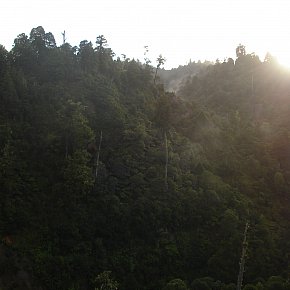 Waipari, Taupo: Into the empty valleys full of life